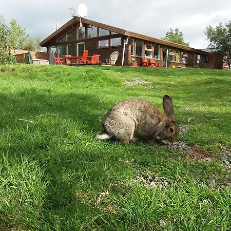Geysir Hestar Pansiyon Haukadalur Dış mekan fotoğraf