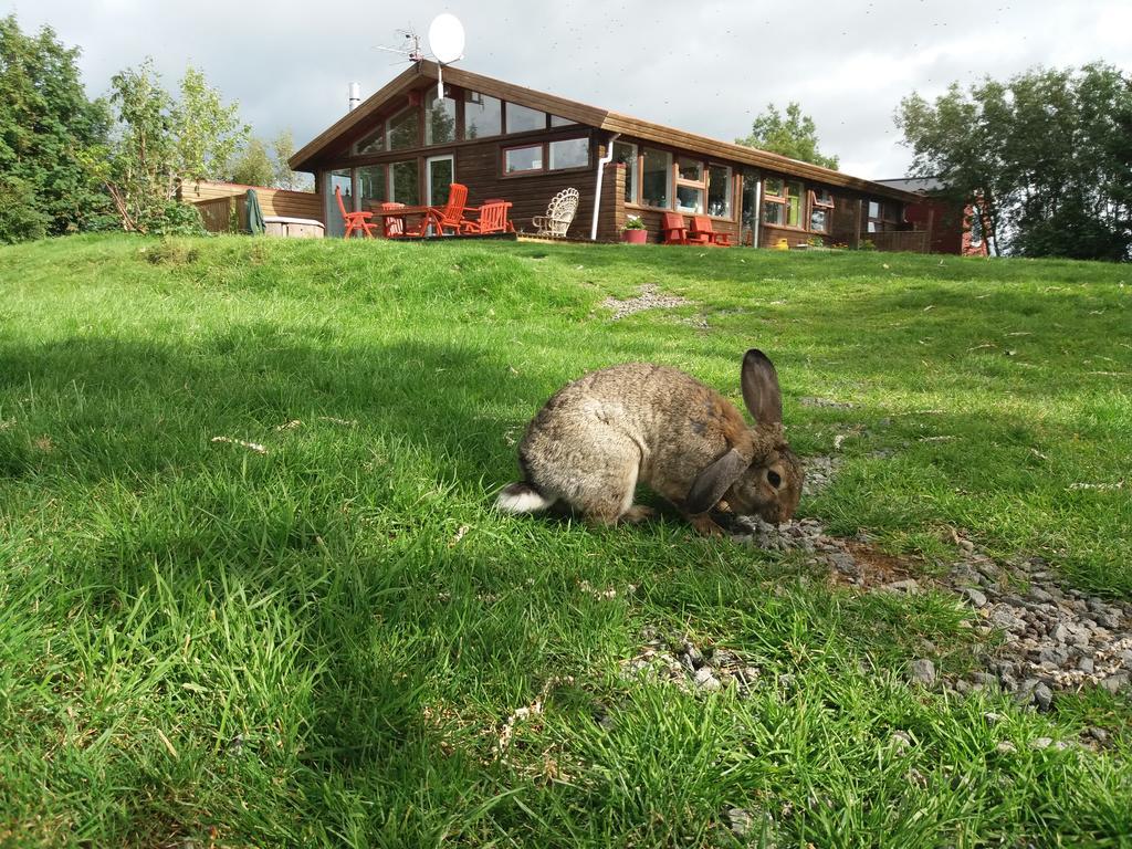 Geysir Hestar Pansiyon Haukadalur Dış mekan fotoğraf